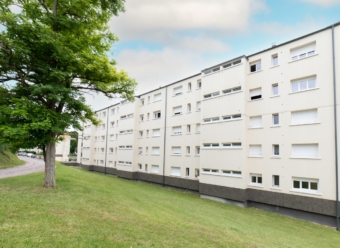 Appartement T3bis Pont-Sur-Yonne