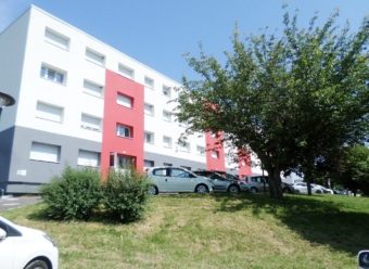 St Julien du Sault  Bel appartement de Type 4 Bis R&eacute;habilit&eacute;