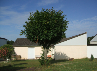 ST SAUVEUR - MAISON T3